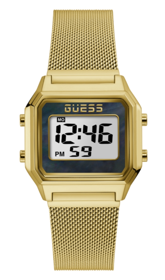 Guess ZOOM GW0343L2 - Vista frontal