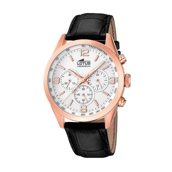 LOTUS MINIMALIST 18157/1