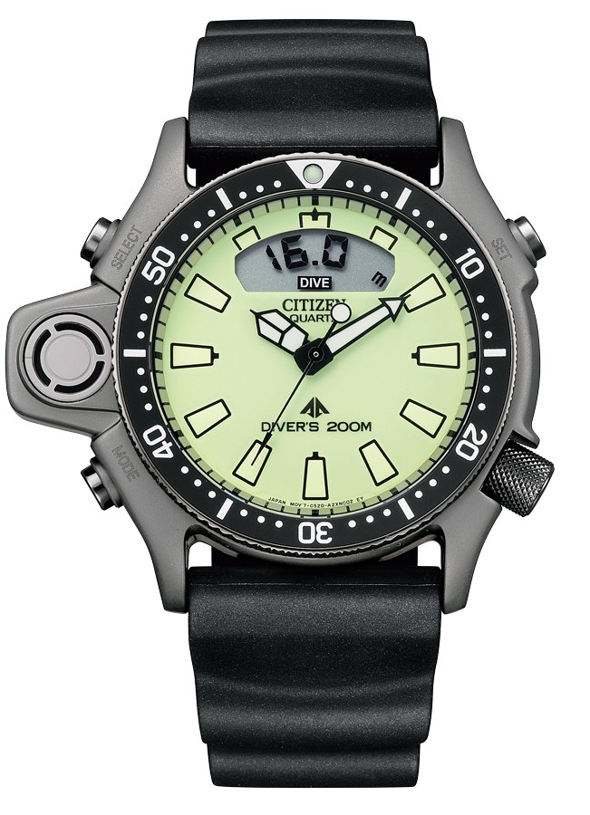 Citizen ECO DRIVE DIVER JP2007-17W - Vista frontal