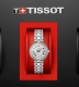 TISSOT BELLISSIMA SMALL LADY   T1260106111300