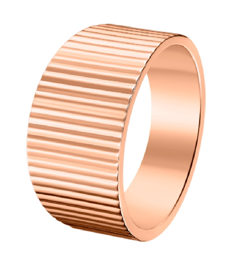 Lotus Style STEEL RINGS LS2310-3/312 - Vista frontal