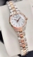 TISSOT PR 100 LADY SMALL  T1010102211101