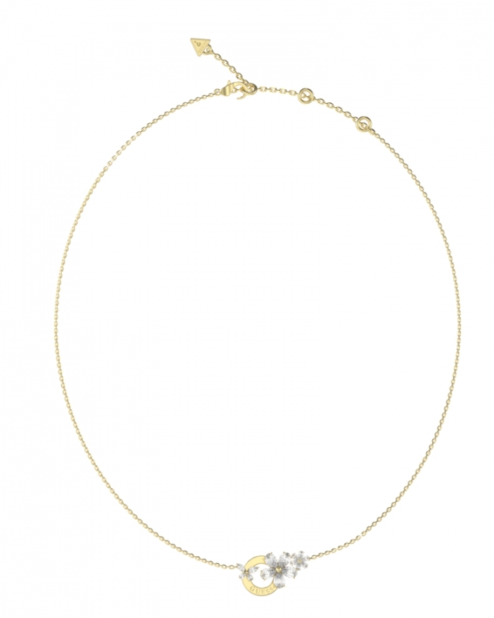 Guess LILY JUBN05102JWYGT-U - Vista frontal