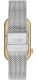 T-BAND CLUB SS/IPG OSO ESTERILLA