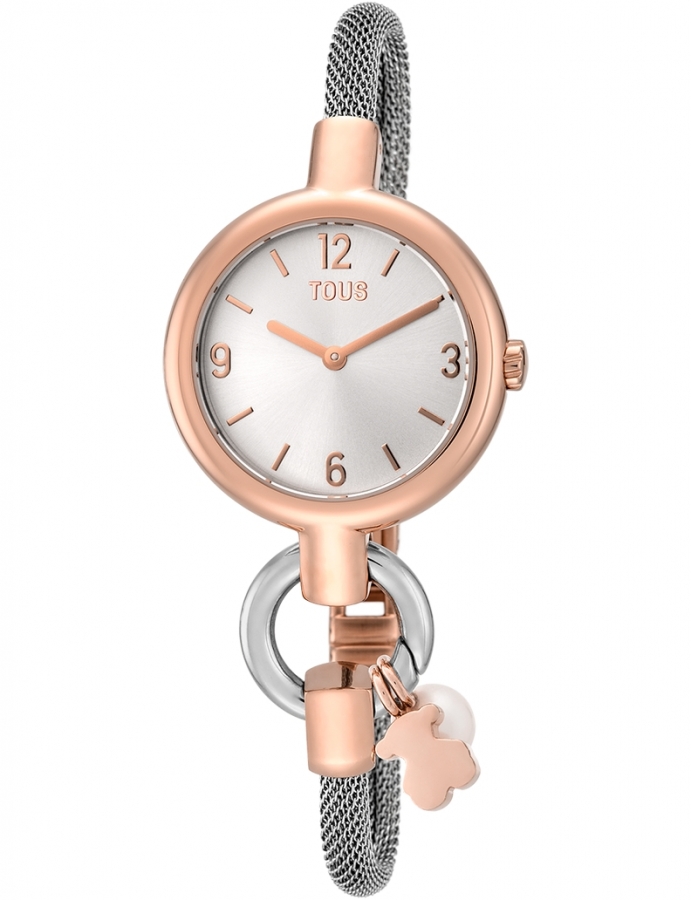 Tous HOLD CHARMS SS/IPRG ESF PLATA ESTERILLA 3000144200 - Vista frontal