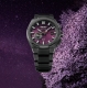 Astron 3X62 Ed. Lda. 2025 Cielo estrella