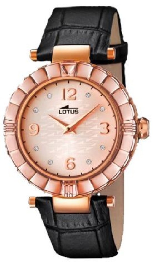 Lotus 15912/C - Vista frontal