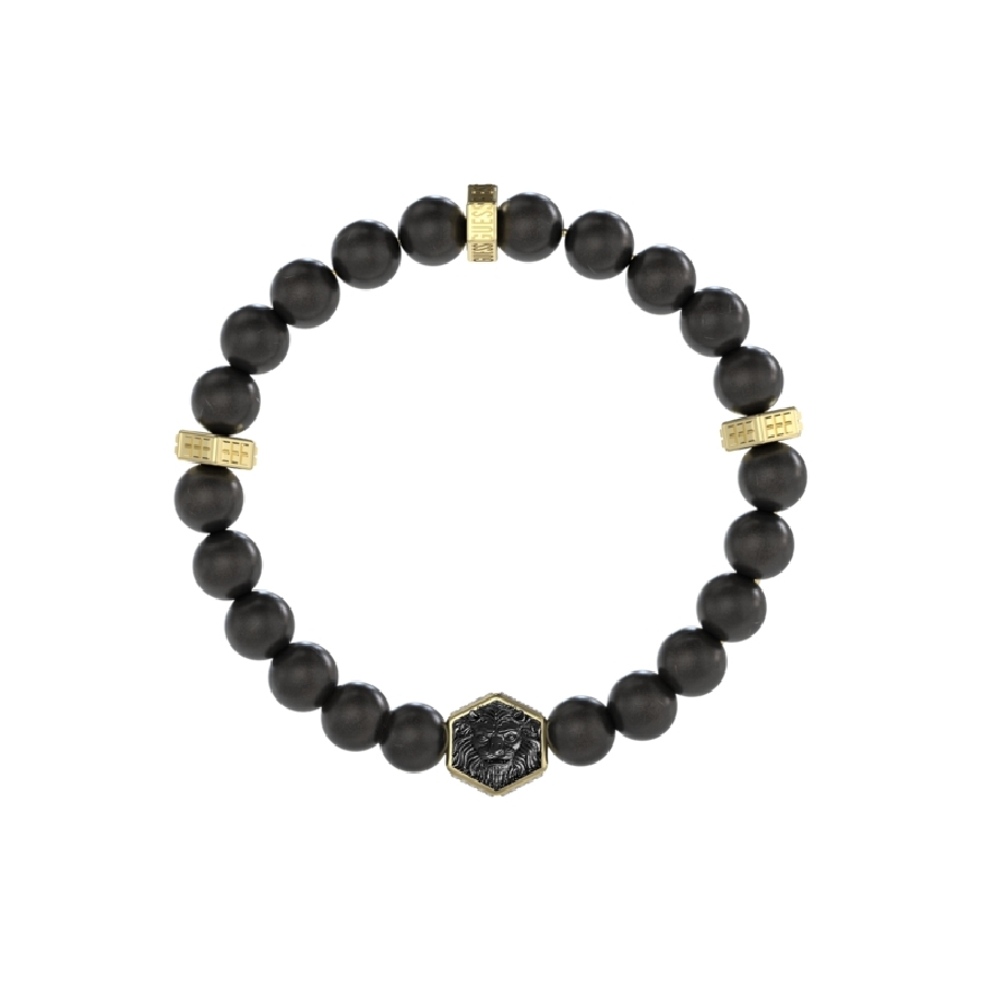 Guess LION KING JUMB06005JWYGBKT-U - Vista frontal