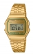 CASIO A158WEGV-9AEF