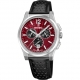 FESTINA SWISS RIVE COLLECTION F20060/5
