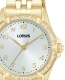 Mujer Classic 3 Agujas Brazalete Dorado
