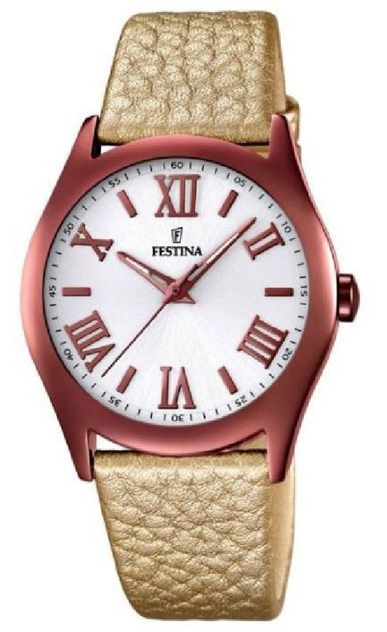 Festina F16649/6 - Vista frontal