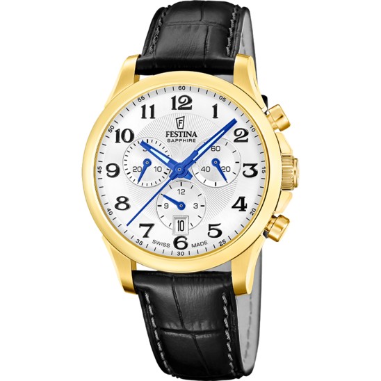 Festina SWISS SPECIAL EDITIONS F20099/1S - Vista frontal