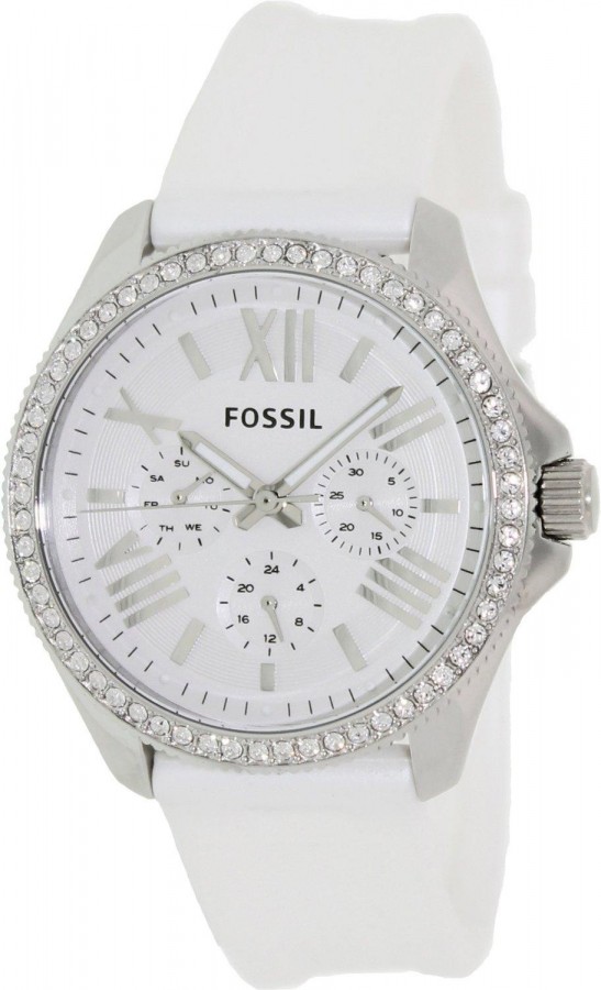 Fossil WATCH  CECILE AM4487 - Vista frontal