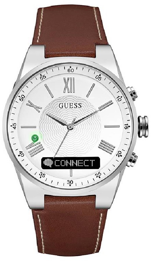 guess c0001g1
