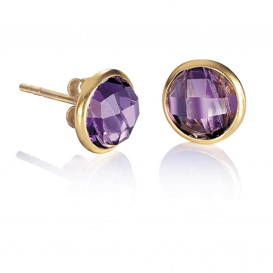 Viceroy JEWELS PENDIENTES 1189E100-57 - Vista frontal