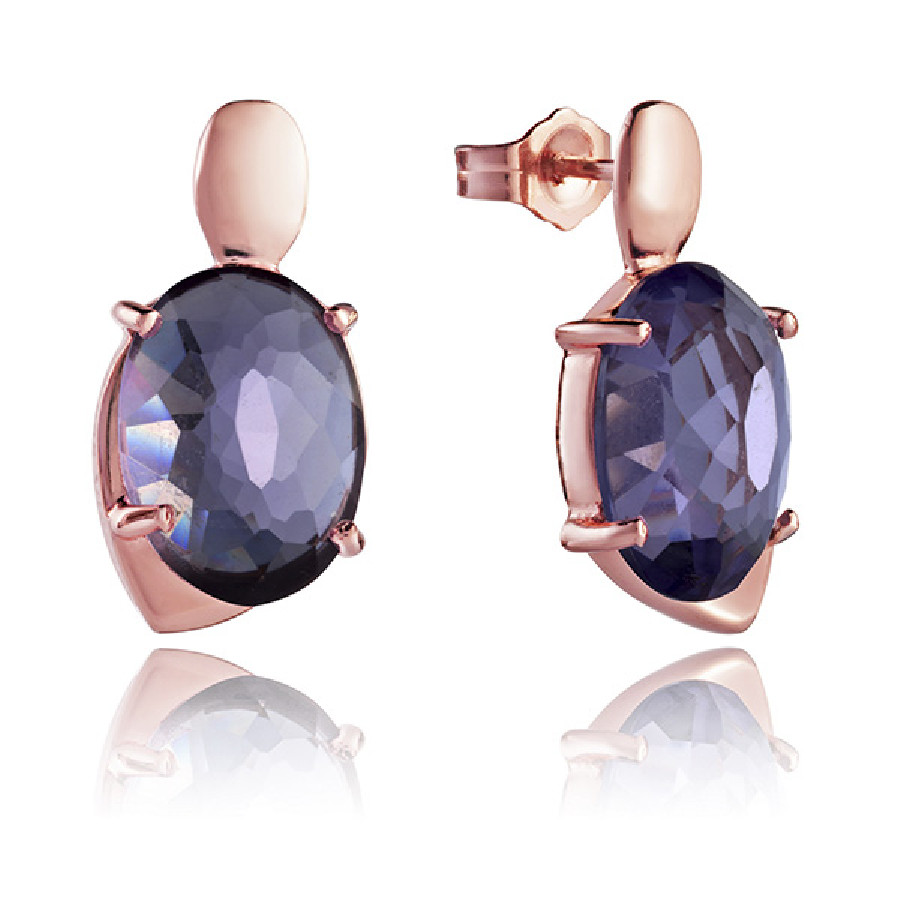 Viceroy JEWELS PENDIENTES 9012E100-57 - Vista frontal