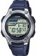 CASIO  W-212H-2AVES