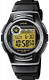 CASIO  W-213-9AVES