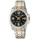 CASIO LTP-1314SG-1A