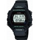 CASIO DW-290-1