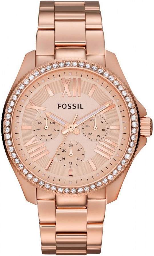 Fossil WATCH  CECILE AM4483 - Vista frontal