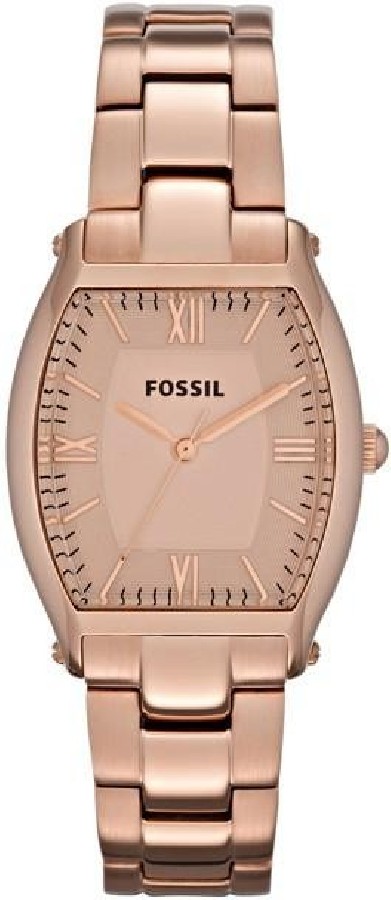 Fossil WATCH MOD.WALLACE ES3120 - Vista frontal