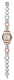 SWATCH IRONY LADY LADY PASSION YSS234G