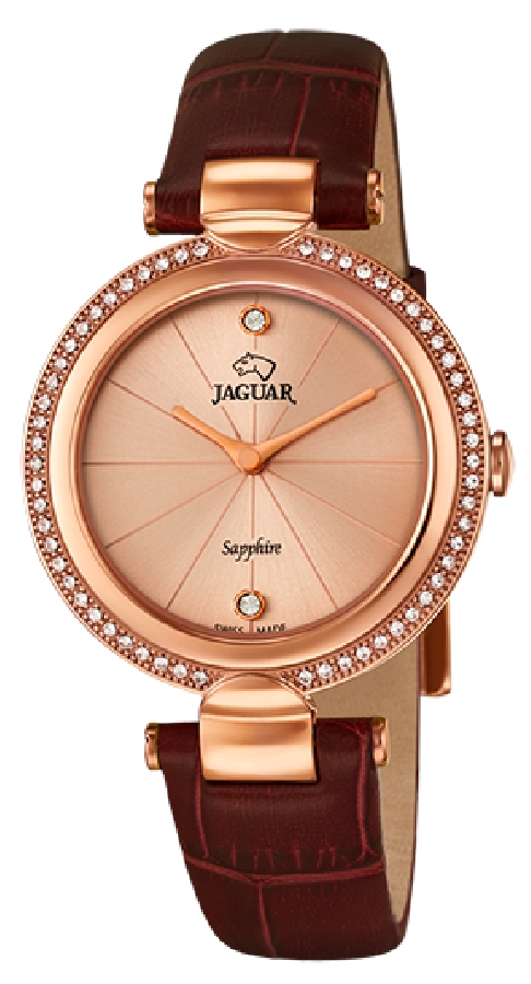 Jaguar COSMOPOLITAN J833/1 - Vista frontal