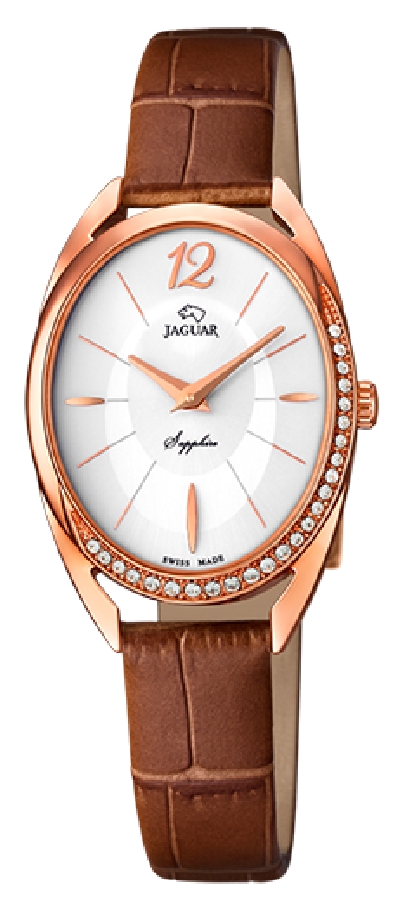 Jaguar COSMOPOLITAN J837/1 - Vista frontal