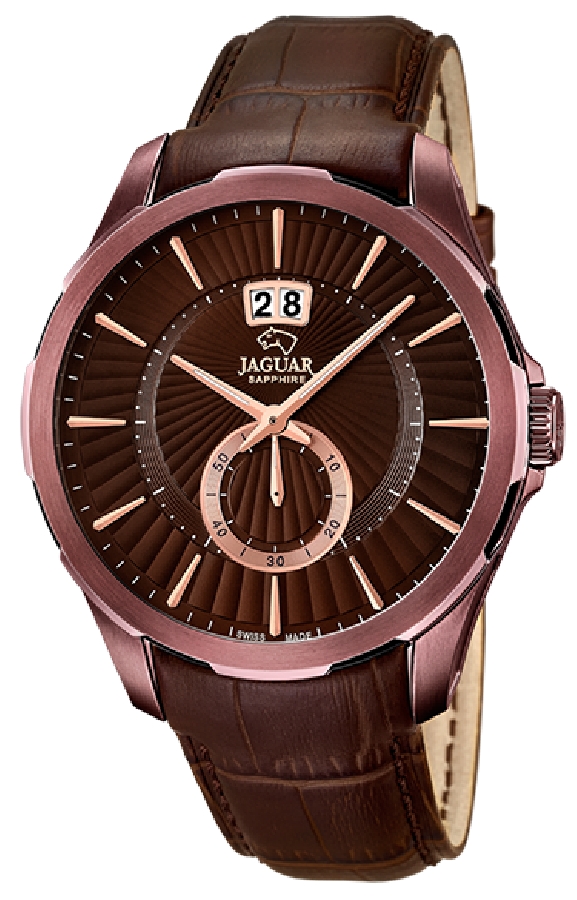 Jaguar ACAMAR J684/1 - Vista frontal