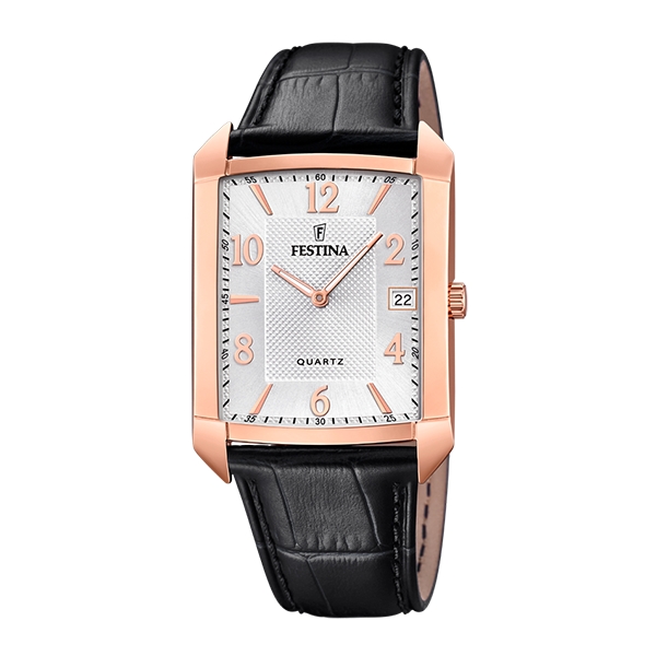 FESTINA F20465/1