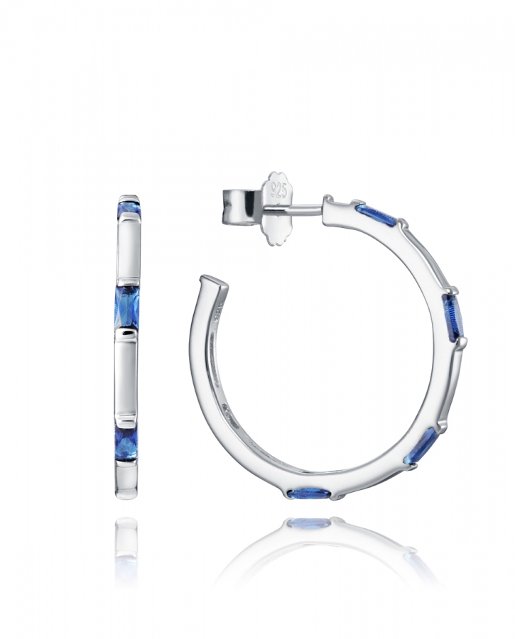 Viceroy ELEGANT PENDIENTES 3027E000-33 - Vista frontal