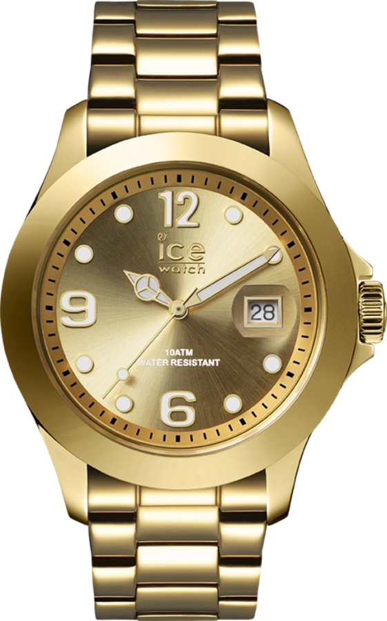 Ice watch ICE STEEL IC016777 - Vista frontal