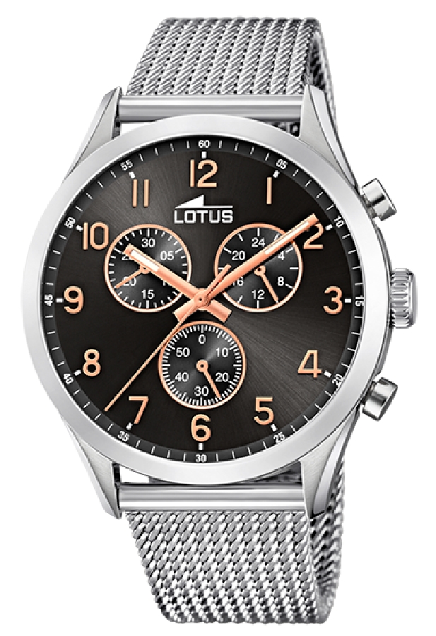 Lotus MINIMALIST 18637/4 - Vista frontal