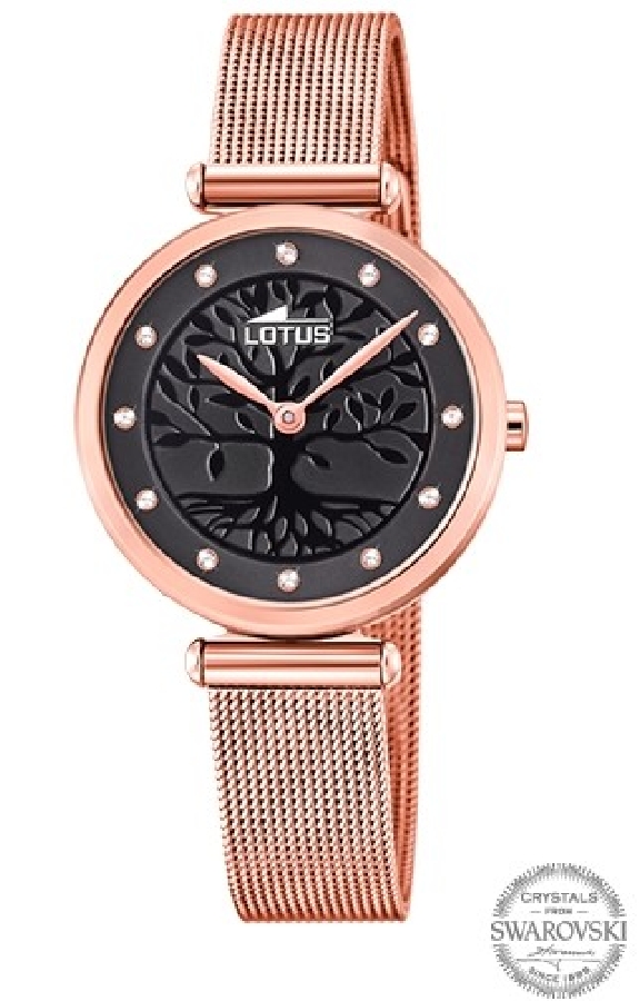 Lotus BLISS 18710/3 - Vista frontal