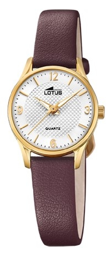 Lotus CORREA CLÁSICO 18574/B - Vista frontal