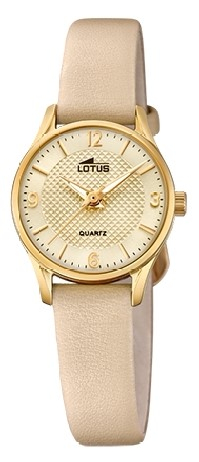 Lotus CORREA CLÁSICO 18574/C - Vista frontal