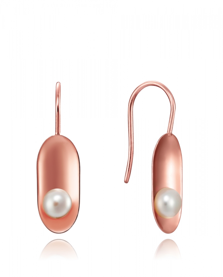 Viceroy ELEGANT PENDIENTES 8105E100-68 - Vista frontal