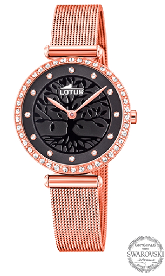 Lotus BLISS 18711/3 - Vista frontal