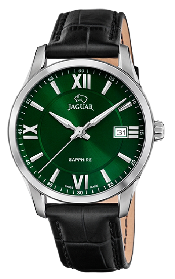 Jaguar ACAMAR  J883/3 - Vista frontal