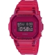 CASIO G-SHOCK DW-5600SB-4ER