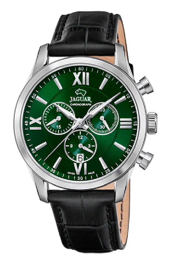 Jaguar ACAMAR J884/3 - Vista frontal