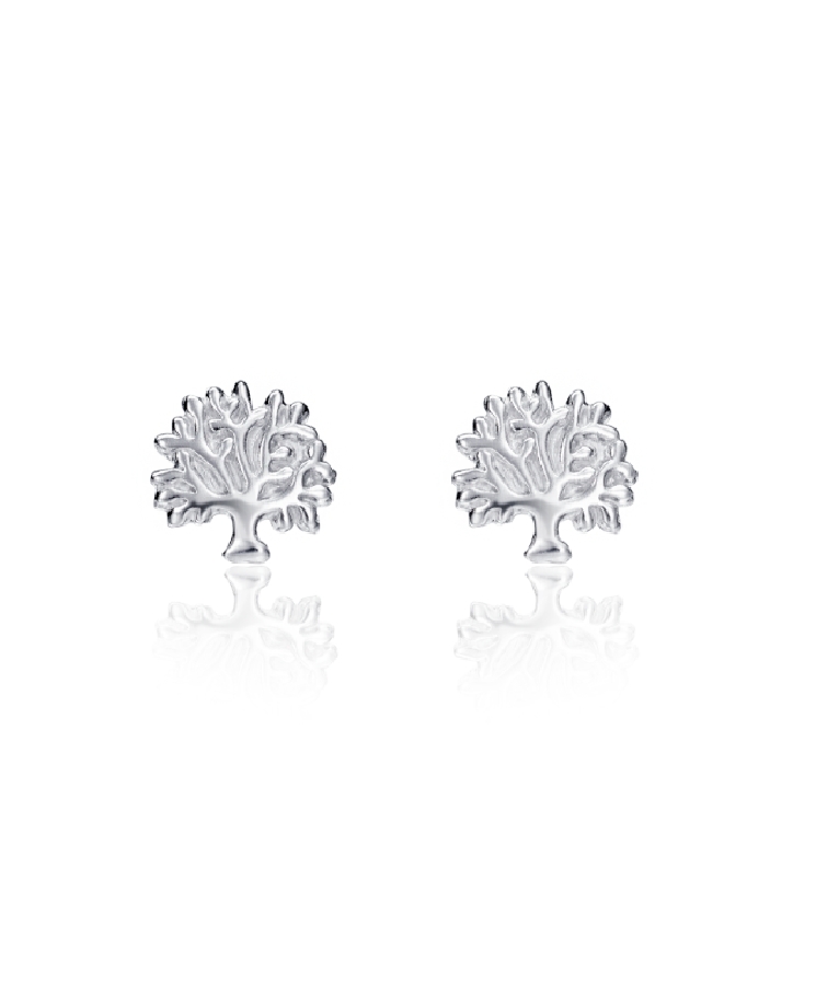 Viceroy FASHION PENDIENTES 5101E000-30 - Vista frontal