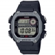 CASIO DW-291H-1AVEF