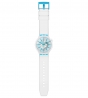 SWATCH  SO27E105