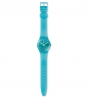 SWATCH MINT FLAVOUR GL123