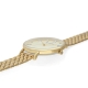 RADIANT TIARA 36MM GOLD DIAL IPG BRACELET RA542201