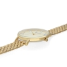 RADIANT TIARA 36MM GOLD DIAL IPG BRACELET RA542201