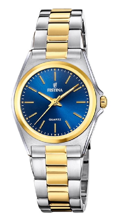 Festina ACERO CLASICO F20556/4 - Vista frontal